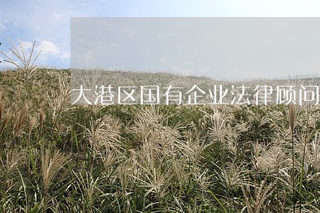大港区国有企业法律顾问 大港区国有企业法律顾问
