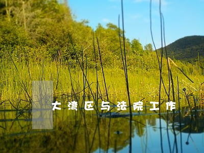 大湾区与法院工作 大湾区与法院工作