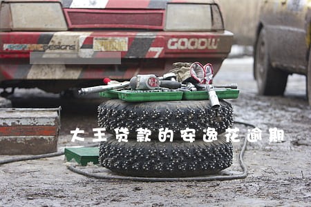 大王贷款的安逸花逾期 大王贷款的安逸花逾期