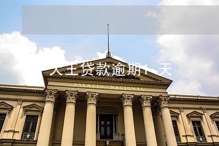 大王贷款逾期1天 大王贷款逾期1天