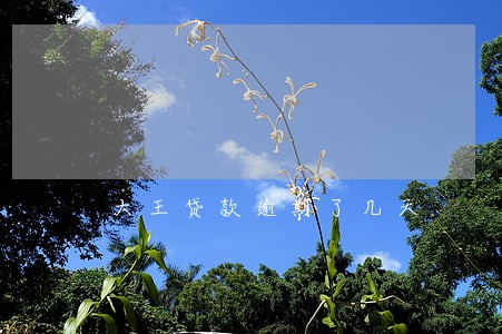 大王贷款逾期了几天 大王贷款逾期了几天