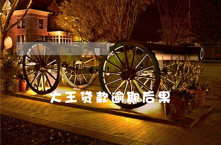 大王贷款逾期后果