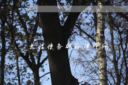 大理债务纠纷律师网 大理债务纠纷律师网