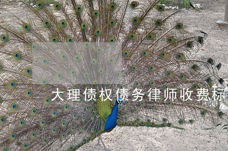 大理债权债务律师收费标准 大理债权债务律师收费标准