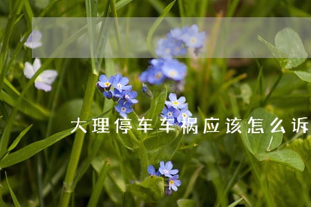 大理停车车祸应该怎么诉讼 大理停车车祸应该怎么诉讼
