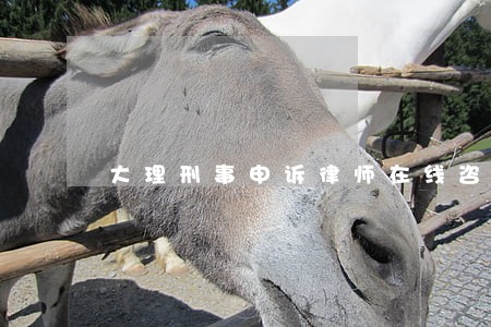 大理刑事申诉律师在线咨询 大理刑事申诉律师在线咨询