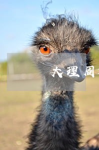 大理周边婚姻纠纷律师 大理周边婚姻纠纷律师