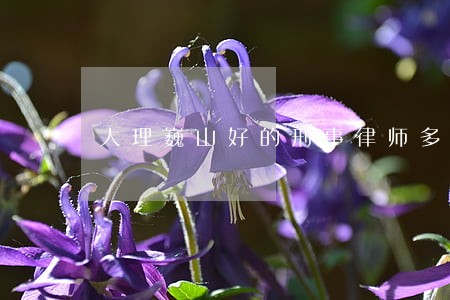 大理巍山好的刑事律师多少钱 大理巍山好的刑事律师多少钱