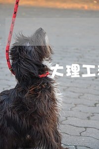 大理工程债务纠纷律师 大理工程债务纠纷律师