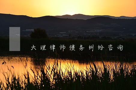 大理律师债务纠纷咨询 大理律师债务纠纷咨询