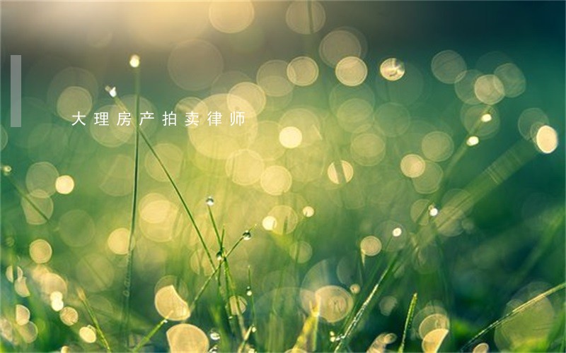 大理房产拍卖律师 大理房产拍卖律师
