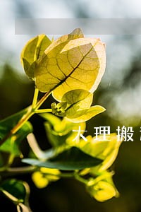 大理搬迁律师在线咨询 大理搬迁律师在线咨询