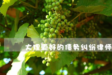 大理更好的债务纠纷律师