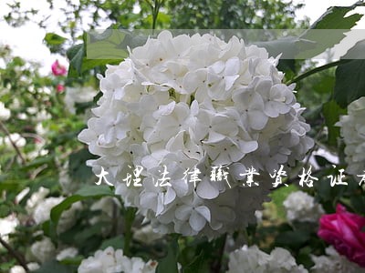 大理法律职业资格证考试培训班 大理法律职业资格证考试培训班