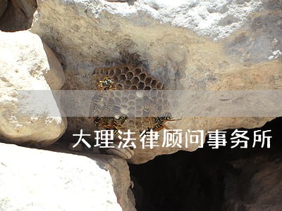 大理法律顾问事务所 大理法律顾问事务所