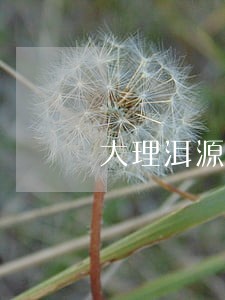大理洱源专业刑事律师 大理洱源专业刑事律师