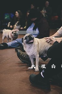 大理白族自治州志