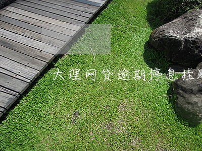 大理网贷逾期停息挂账申请条件 大理网贷逾期停息挂账申请条件
