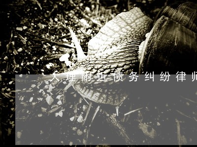 大理附近债务纠纷律师 大理附近债务纠纷律师