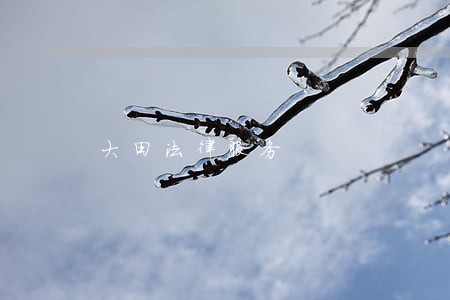 大田法律服务 大田法律服务