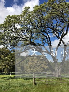大电动小电动相撞 大电动小电动相撞