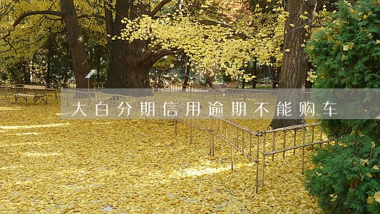 大白分期信用逾期不能购车 大白分期信用逾期不能购车