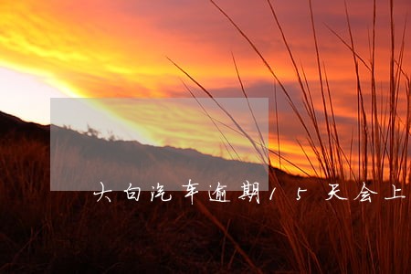大白汽车逾期15天会上征信吗 大白汽车逾期15天会上征信吗