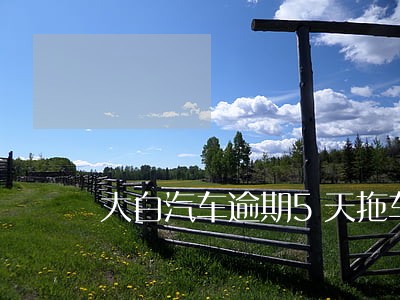 大白汽车逾期5天拖车吗 大白汽车逾期5天拖车吗