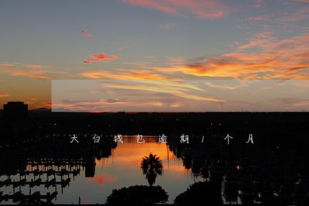 大白钱包逾期1个月