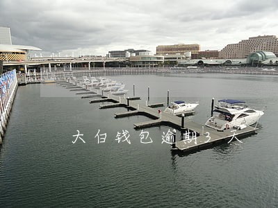 大白钱包逾期3天 大白钱包逾期3天