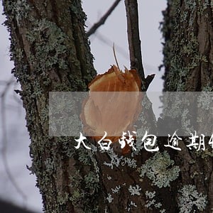 大白钱包逾期4天 大白钱包逾期4天