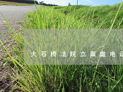 大石桥法院立案庭电话号码
