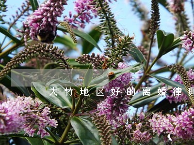 大竹地区好的离婚律师 大竹地区好的离婚律师
