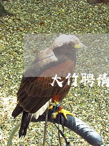 大竹聘请离婚律师多少钱 大竹聘请离婚律师多少钱