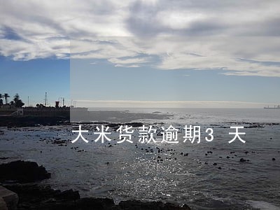 大米货款逾期3天 大米货款逾期3天