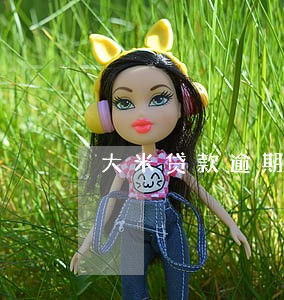 大米贷款逾期会怎么样 大米贷款逾期会怎么样