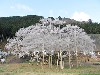 大约有多少人信用卡逾期 大约有多少人信用卡逾期
