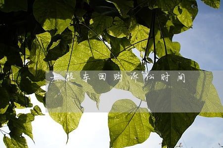 大股东回购诉讼时间 大股东回购诉讼时间