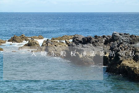 大股东股权司法冻结可以重组吗