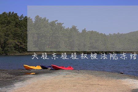 大股东股股权被法院冻结是何原因 大股东股股权被法院冻结是何原因