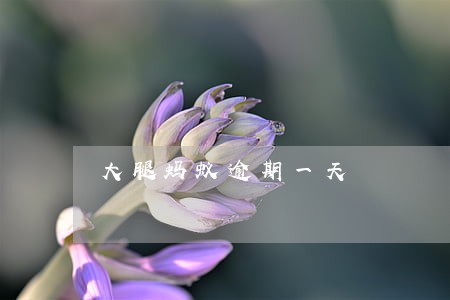 大腿蚂蚁逾期一天 大腿蚂蚁逾期一天