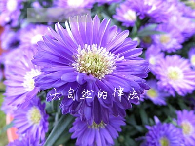 大自然的律法 大自然的律法