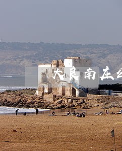 大良南庄公司法律顾问 大良南庄公司法律顾问