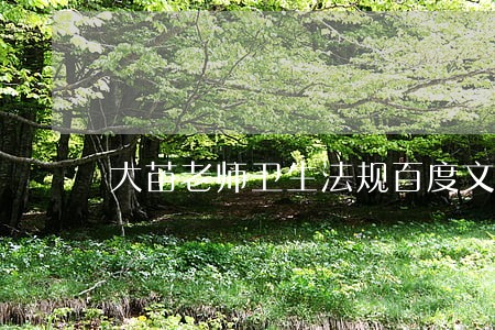 大苗老师卫生法规百度文库 大苗老师卫生法规百度文库