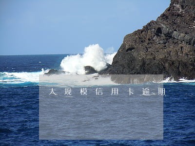 大规模信用卡逾期 大规模信用卡逾期