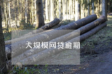 大规模网贷逾期 大规模网贷逾期