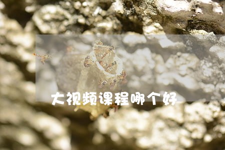 大视频课程哪个好 大视频课程哪个好