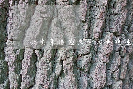 大货车保险报停后再跑违法吗 大货车保险报停后再跑违法吗
