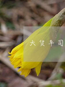 大货车司机存多项违法