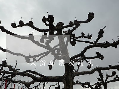 大货车屡次违法 大货车屡次违法